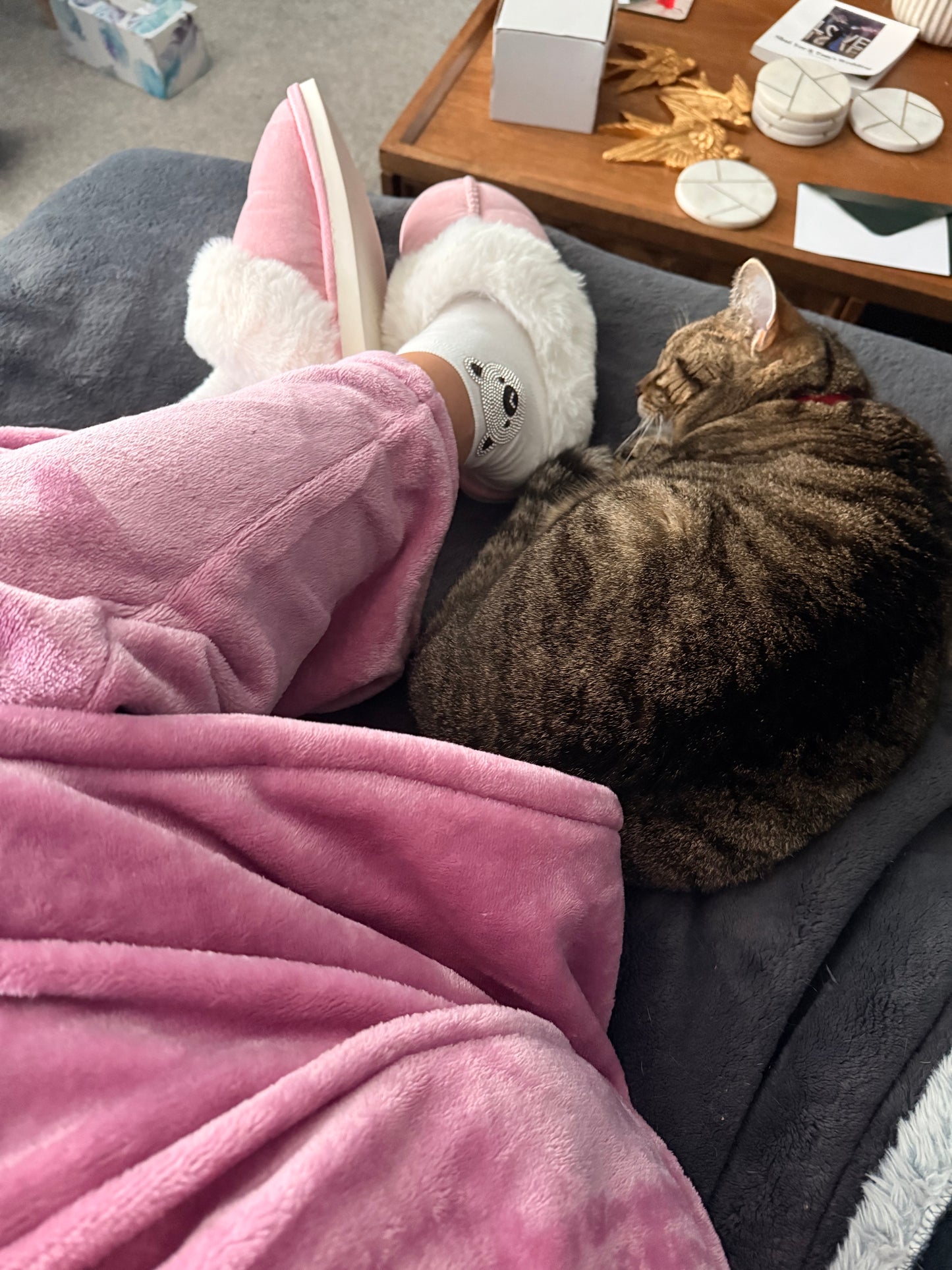 Pink Slippers